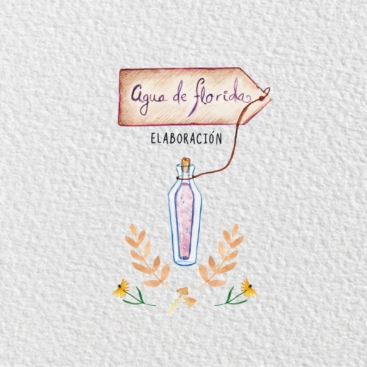 PRESENTACIÓN PERFUME